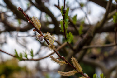 Similar image 1319306