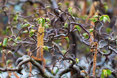 Similar image 1319308