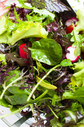 Similar image 1319315