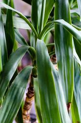 Similar image 1319317