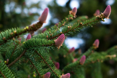 Similar image 1319321