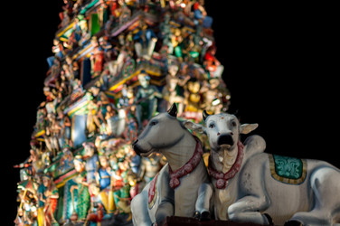 Similar image 1319331