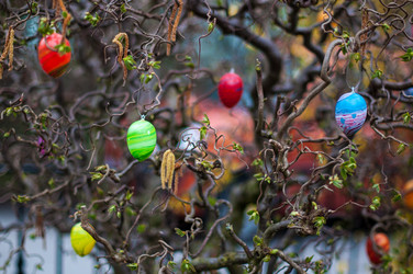 Similar image 1319348