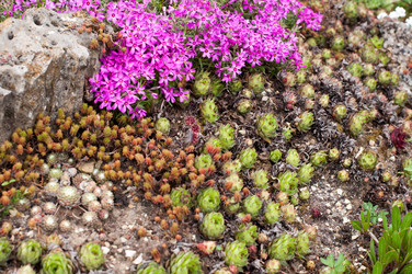 Similar image 1319410