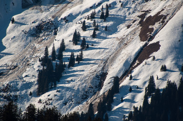 Similar image 1319412