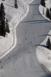 Similar image 1319415