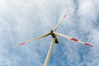 Similar image 1319426