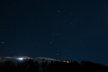 Similar image 1319436