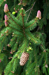 Similar image 1319469