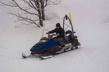 Similar image 1319477