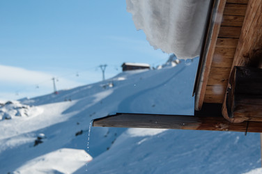 Similar image 1319481