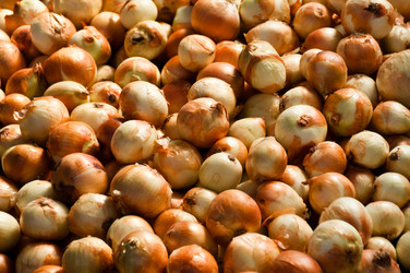 Similar image 1319547