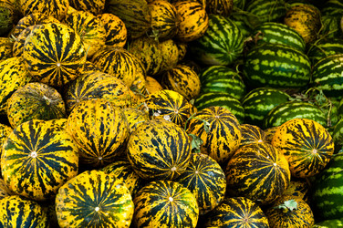 Similar image 1319549