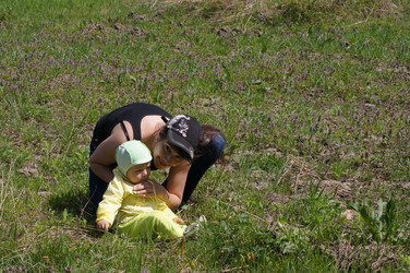 Similar image 1319658