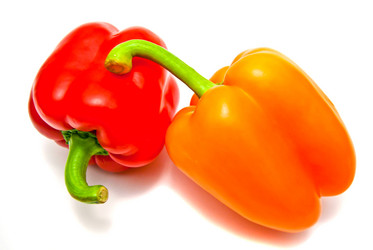 Similar image 1319664