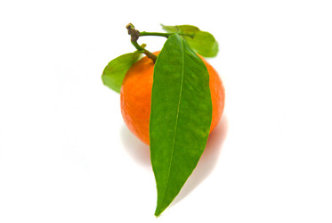 Similar image 1319669