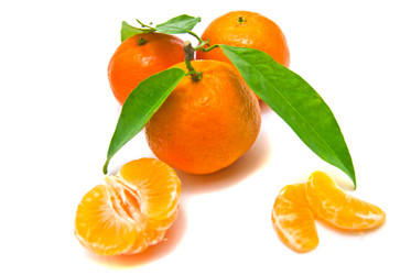 Similar image 1319682