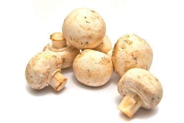 Similar image 1319686