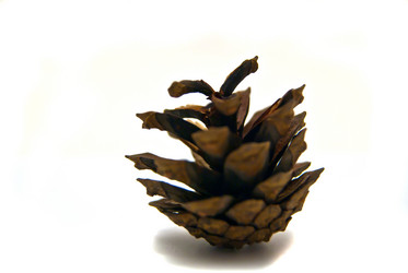 Similar image 1319704