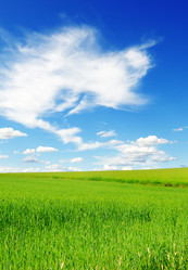 Similar image 1319786