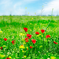 Similar image 1319790