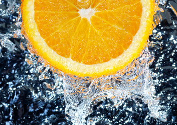 Similar image 1319794