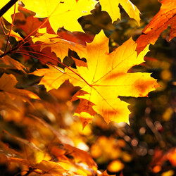 Similar image 1319802