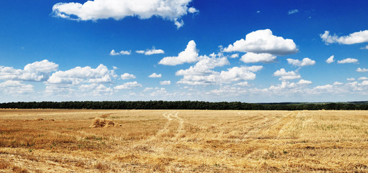 Similar image 1319839