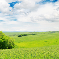 Similar image 1319842