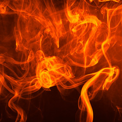 Similar image 1319848