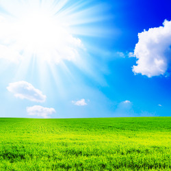 Similar image 1319850