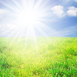 Similar image 1319862