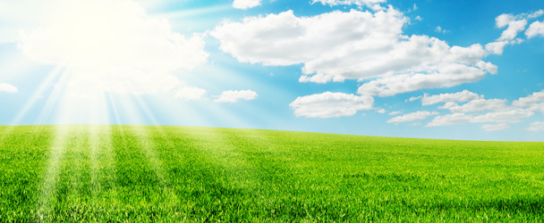 Similar image 1319876