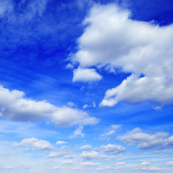 Similar image 1319878