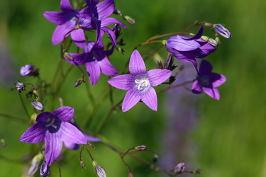 Similar image 1319903