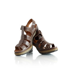 Similar image 1319904