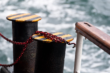 Similar image 1319920