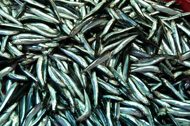 Similar image 1319926