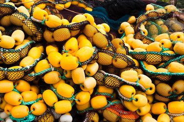 Similar image 1319936