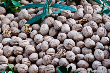 Similar image 1319937