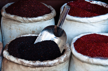 Similar image 1319949