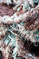 Similar image 1319952