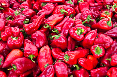 Similar image 1319955