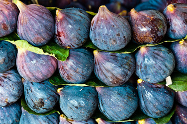 Similar image 1319969