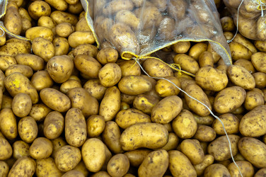 Similar image 1319970