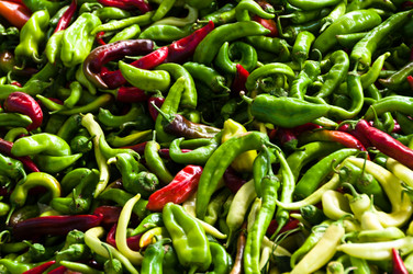 Similar image 1319971