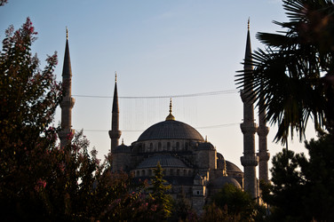 Similar image 1319974