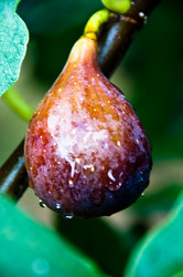 Similar image 1319976