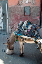 Similar image 1319987