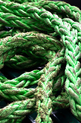 Similar image 1319992